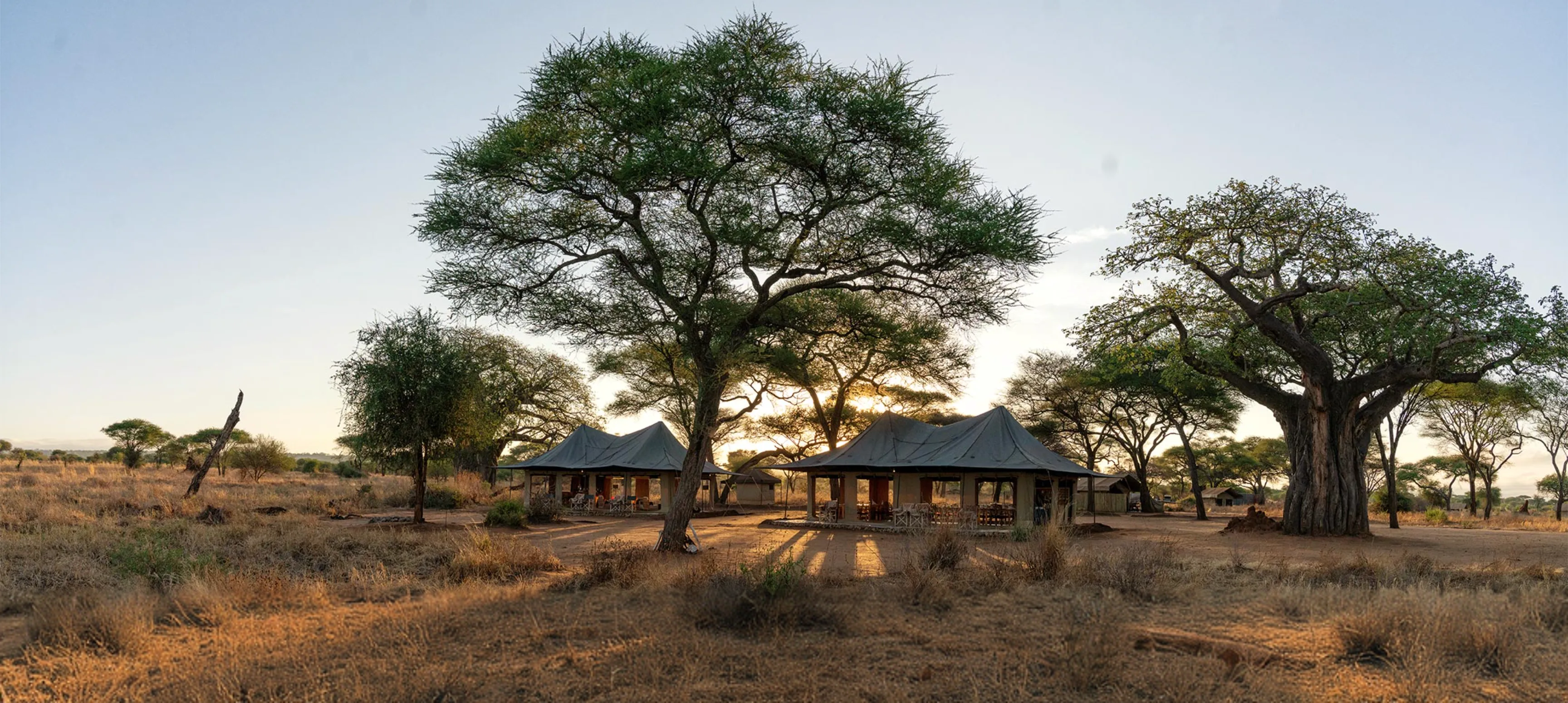 Lolkisale camp in Tarangire National Park