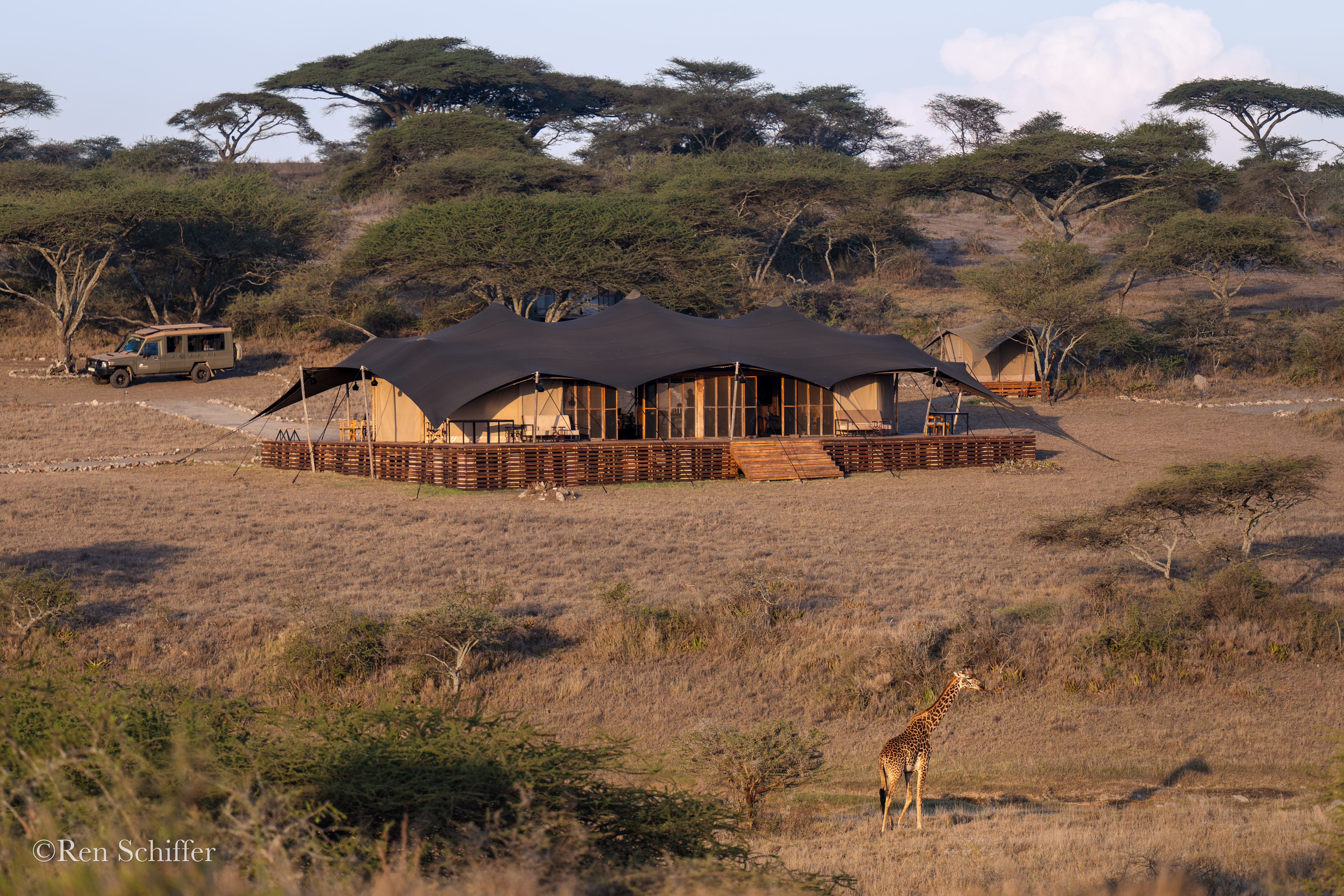 Serengeti plains camp at sunset