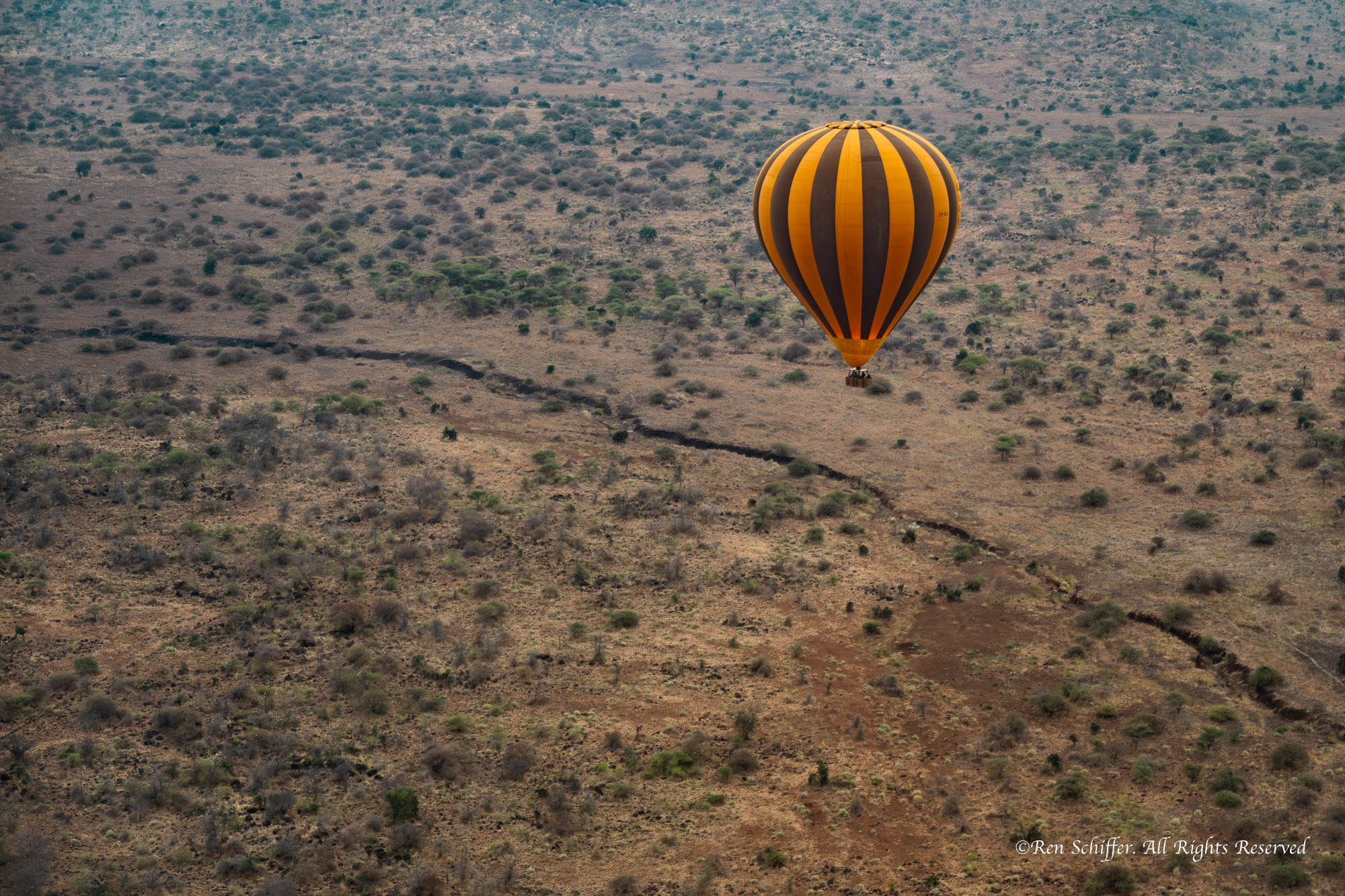 Aerial view over the savannah