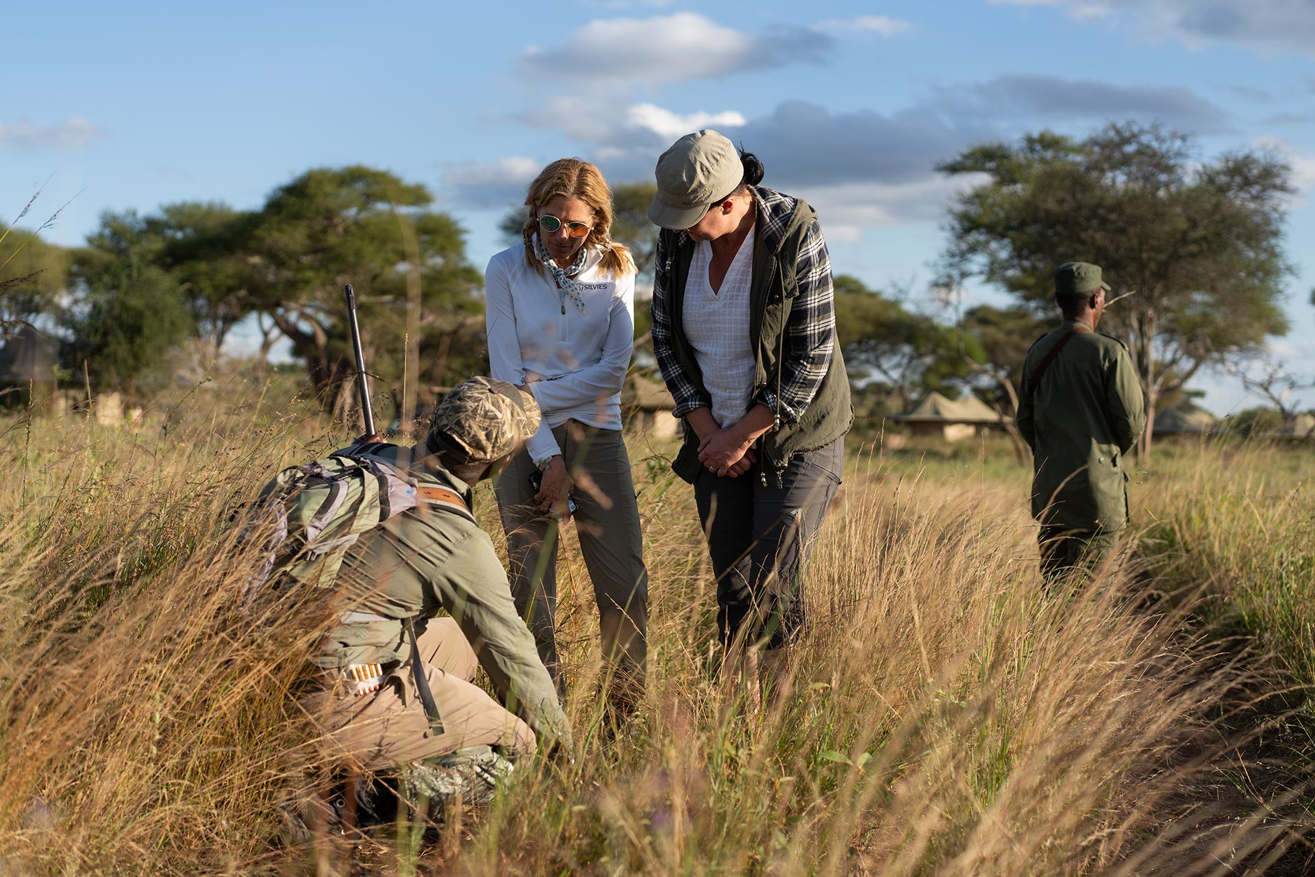 Guests on a walking safari in tall grass