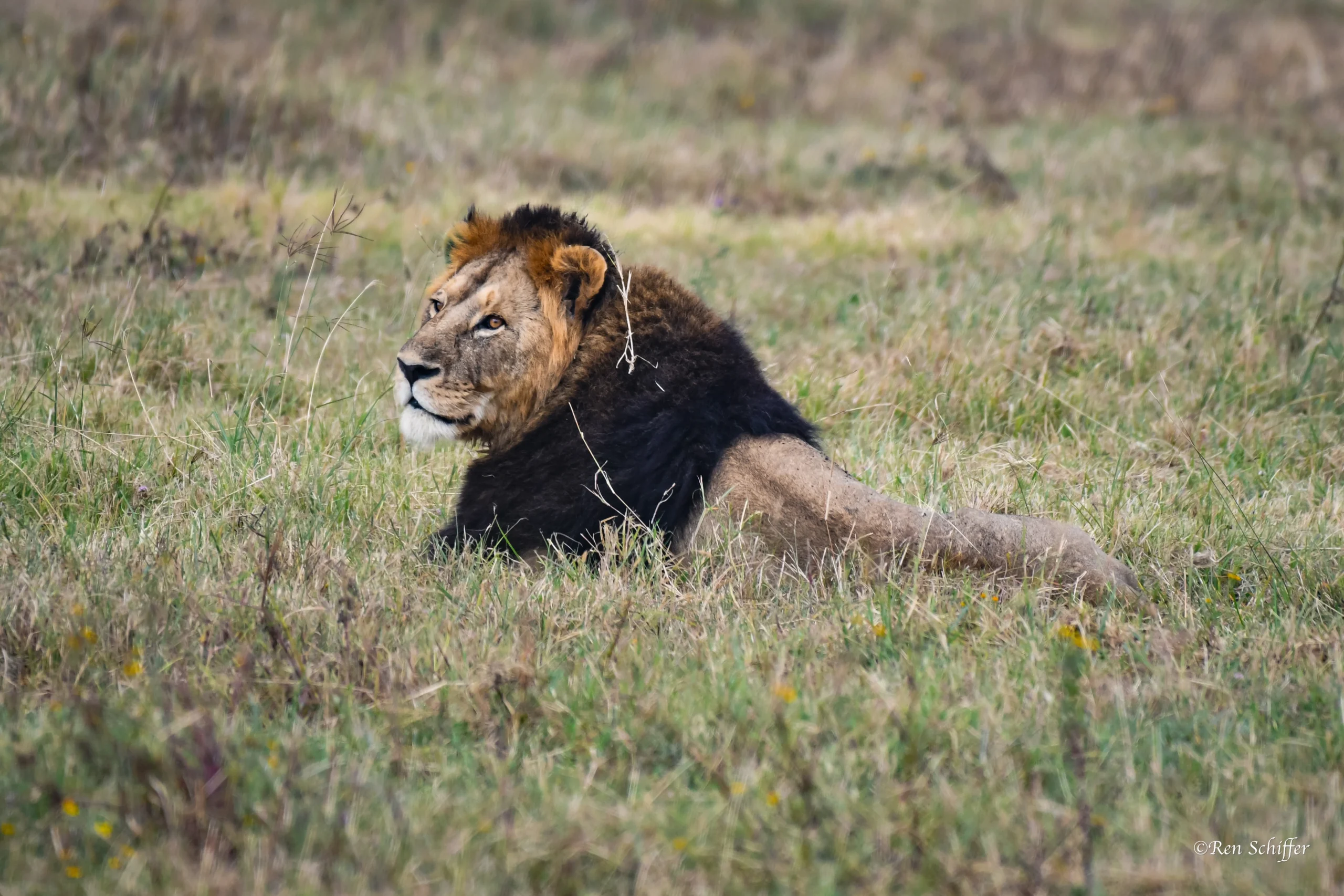 Kenya